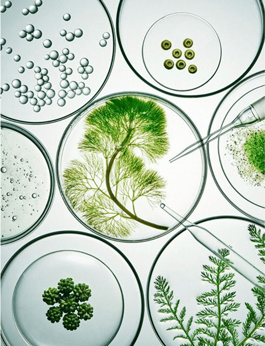 Deep·biotech