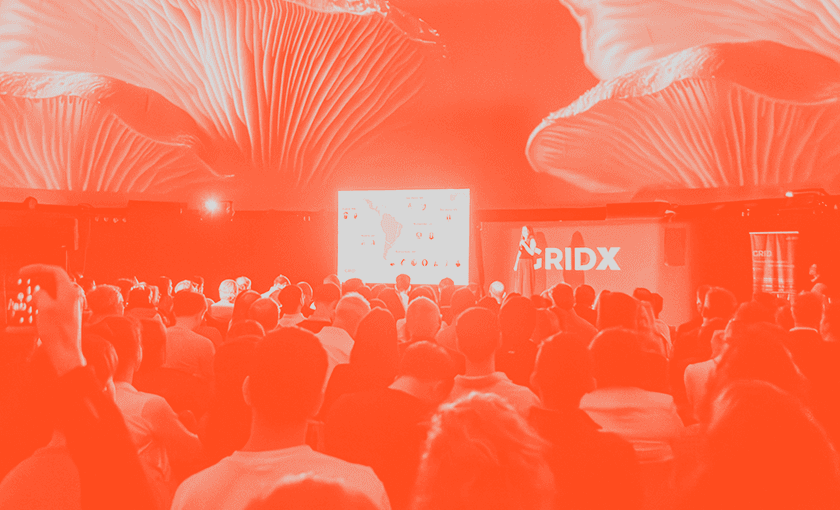 Acceleration stage: 
A startup-centric approach
